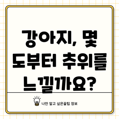 강아지, 몇 도부터 추위를 느낄까요?