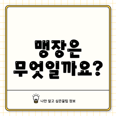 맹장은 무엇일까요?