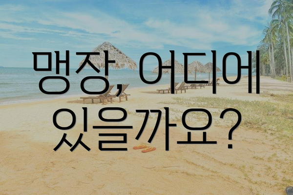 맹장, 어디에 있을까요?