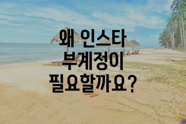 왜 인스타 부계정이 필요할까요?
