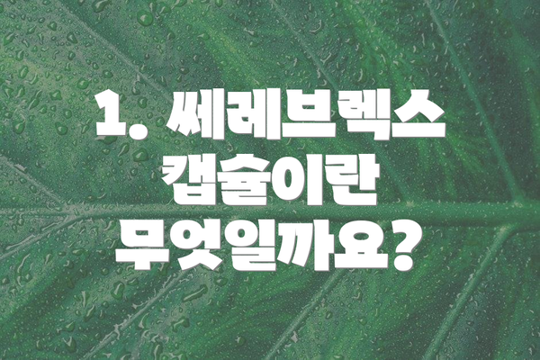 1. 쎄레브렉스 캡슐이란 무엇일까요?