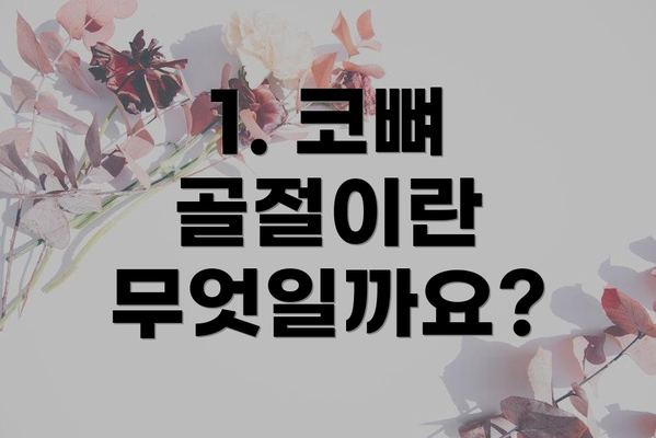 1. 코뼈 골절이란 무엇일까요?