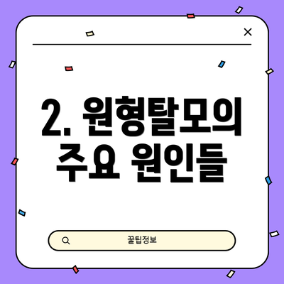 2. 원형탈모의 주요 원인들