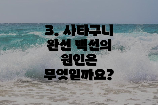 3. 사타구니 완선 백선의 원인은 무엇일까요?
