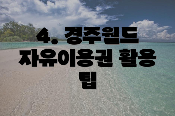 4. 경주월드 자유이용권 활용 팁