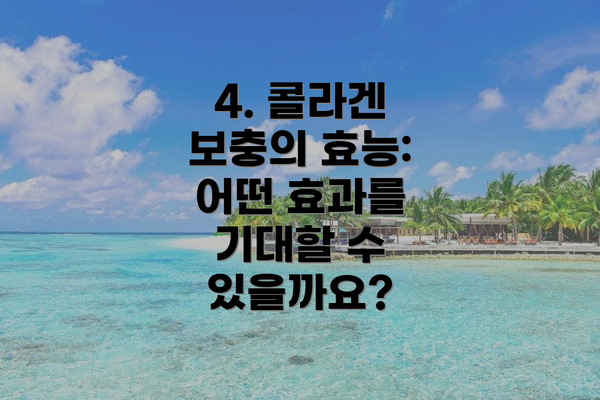 4. 콜라겐 보충의 효능: 어떤 효과를 기대할 수 있을까요?