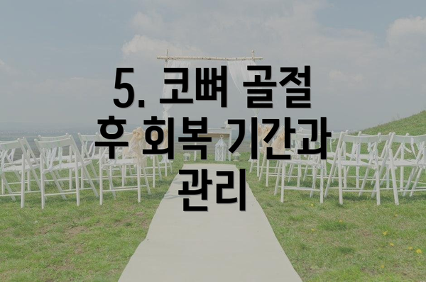 5. 코뼈 골절 후 회복 기간과 관리