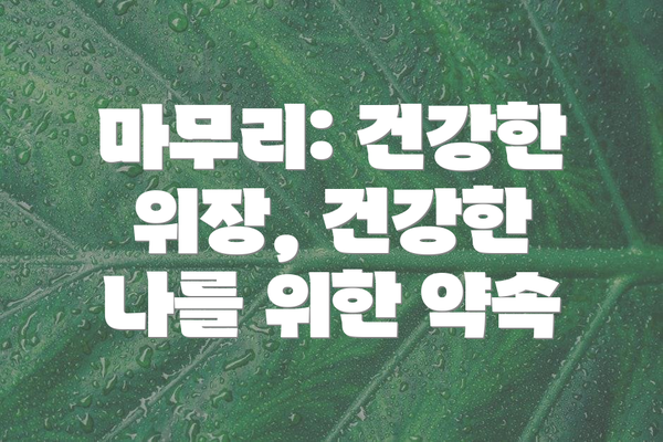 마무리: 건강한 위장, 건강한 나를 위한 약속