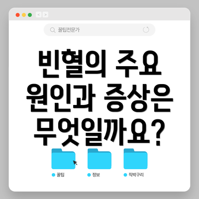 빈혈의 주요 원인과 증상은 무엇일까요?