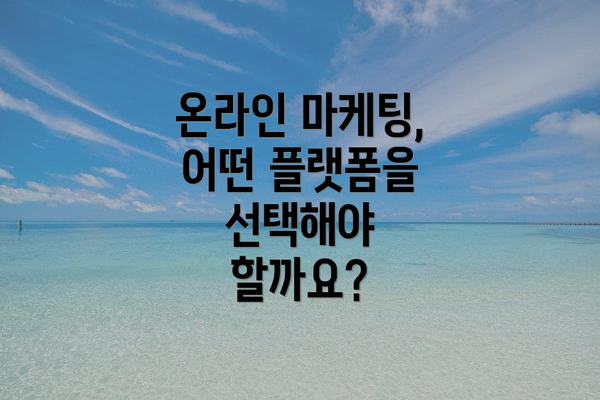 온라인 마케팅, 어떤 플랫폼을 선택해야 할까요?