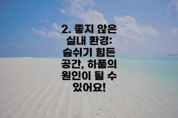 2. 좋지 않은 실내 환경:  숨쉬기 힘든 공간, 하품의 원인이 될 수 있어요!