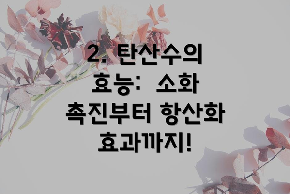 2. 탄산수의 효능:  소화 촉진부터 항산화 효과까지!