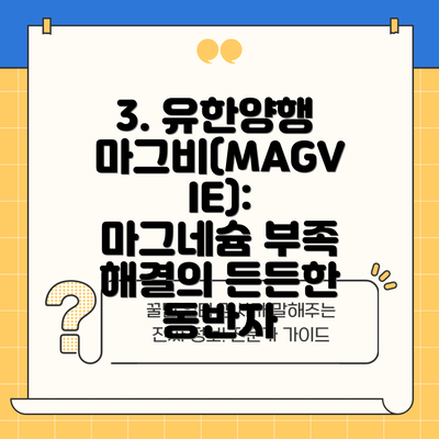 3. 유한양행 마그비(MAGVIE): 마그네슘 부족 해결의 든든한 동반자