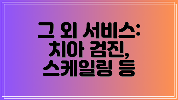 그 외 서비스: 치아 검진, 스케일링 등