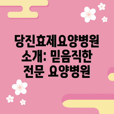 당진효제요양병원 소개: 믿음직한 전문 요양병원