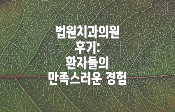 법원치과의원  후기:  환자들의 만족스러운 경험