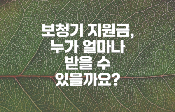보청기 지원금, 누가 얼마나 받을 수 있을까요?