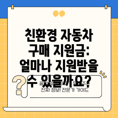 친환경 자동차 구매 지원금: 얼마나 지원받을 수 있을까요?