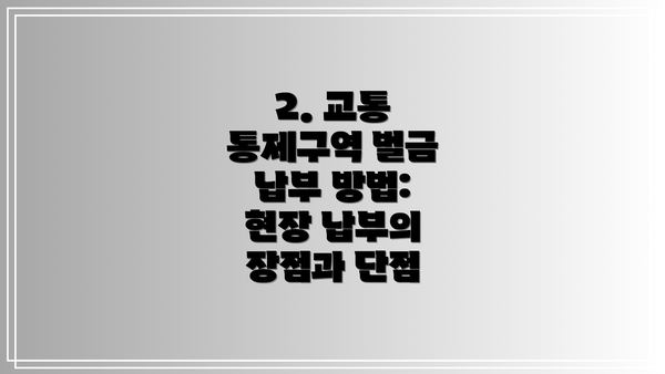 2. 교통 통제구역 벌금 납부 방법: 현장 납부의 장점과 단점