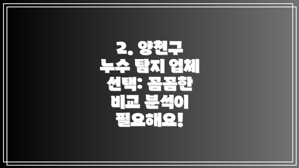 2. 양천구 누수 탐지 업체 선택: 꼼꼼한 비교 분석이 필요해요!
