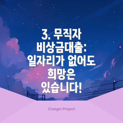 3. 무직자 비상금대출:  일자리가 없어도 희망은 있습니다!
