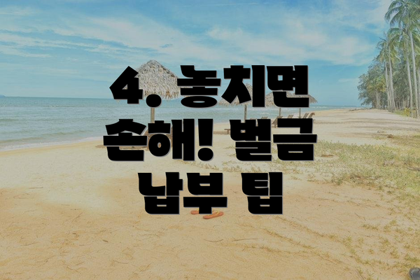 4. 놓치면 손해! 벌금 납부 팁