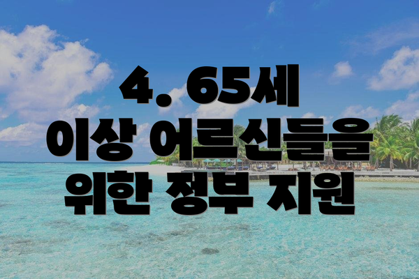4. 65세 이상 어르신들을 위한 정부 지원