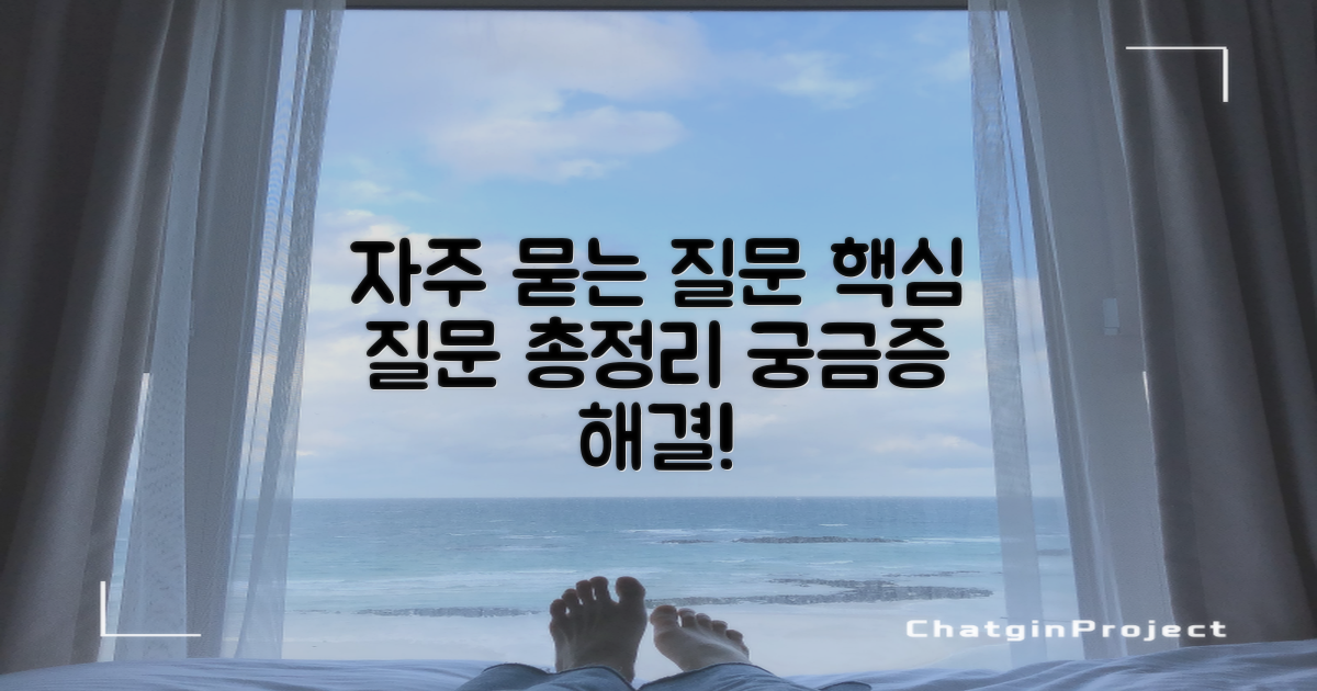 자주 묻는 질문